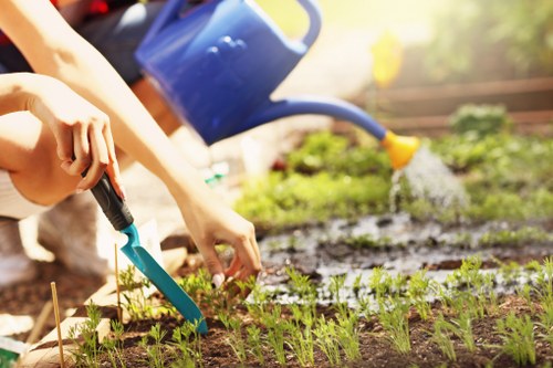 Professional patio cleaning in Dagenham removing moss and grime