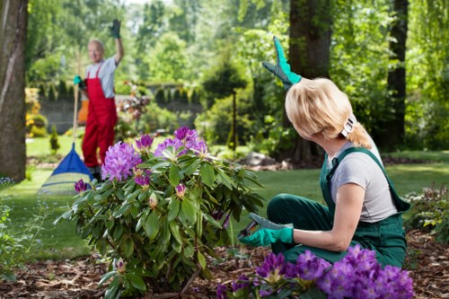 Overgrown garden cleared in Dagenham with waste removed