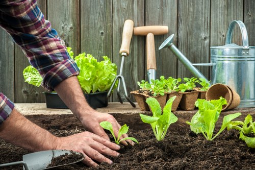 Client complaint review for a gardening service