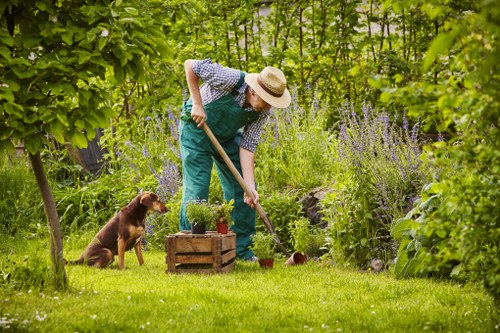 Professional review of a gardening complaint