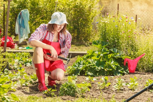 Gardeners in Dagenham maintaining a healthy and attractive garden