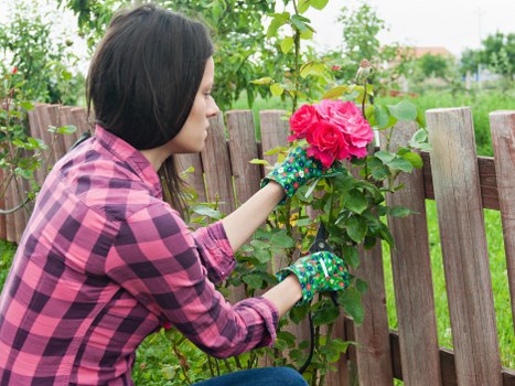 Liability and service responsibility terms for a garden maintenance provider