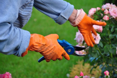 Garden maintenance professionals in Dagenham shaping plants and borders