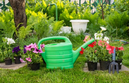 Example garden clearance jobs for local Dagenham properties
