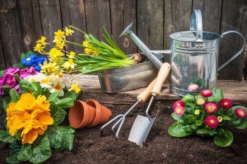 Inclusive browsing experience for gardeners in Dagenham