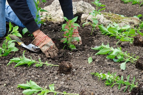 Gardening team managing tools and manual handling safely