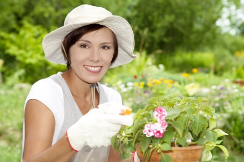 Dagenham landscaping with lawn, paving, and border planting