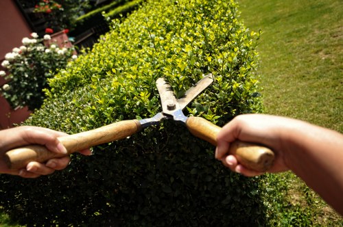 Clean and tidy site after tree removal in Dagenham