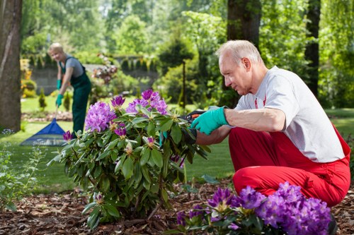 Garden design and planting in a Dagenham outdoor space