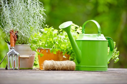 Professional hedge trimming and garden maintenance in Dagenham