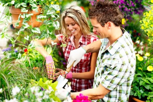 Fertilising and feeding a lawn in Dagenham garden