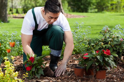 Winter lawn protection and maintenance in Dagenham