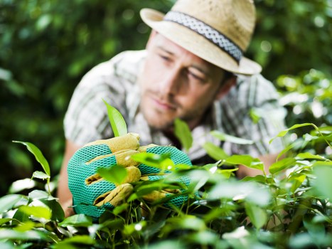 Transparent pricing for Gardeners Dagenham garden clearance services