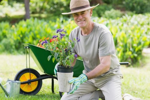 Seasonal lawn maintenance for a Dagenham outdoor space