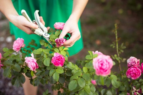 Professional garden clearance removing branches and weeds in Dagenham