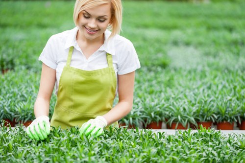 Healthy lawn care as part of garden maintenance in Dagenham