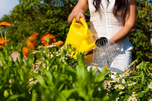 Free quote assessment for an overgrown garden in Dagenham