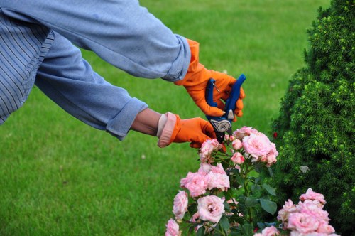 Autumn lawn aeration and overseeding in Dagenham