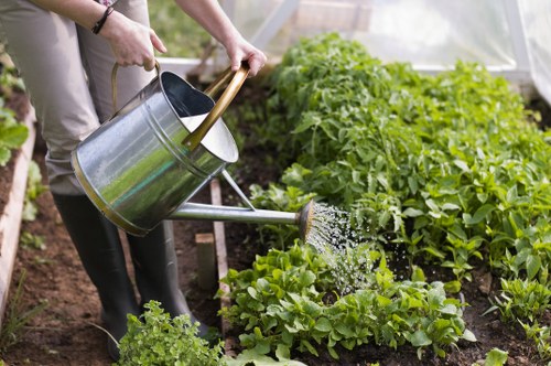 Seasonal planting and garden care in Dagenham outdoor space