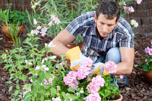Professional lawn mowing equipment used in Dagenham garden care