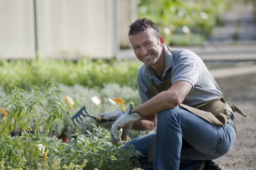 Local gardening experts in Dagenham caring for hedges and lawns