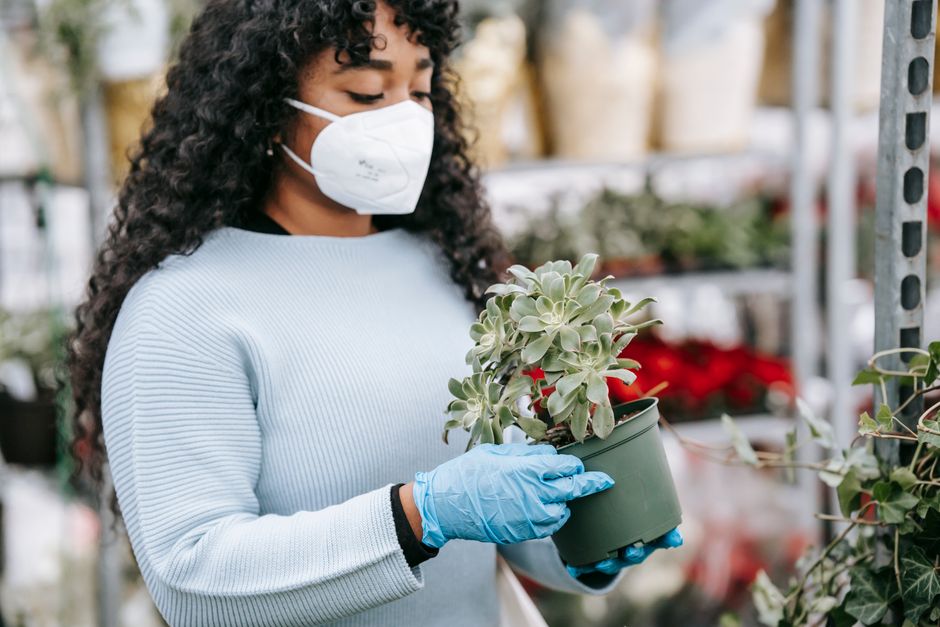 A gardener wearing a light blue surgical mask, blue gloves, and a dark jacket is holding a small terracotta plant pot containing sprouting green shoots. The gardener is standing in a greenhouse or gar